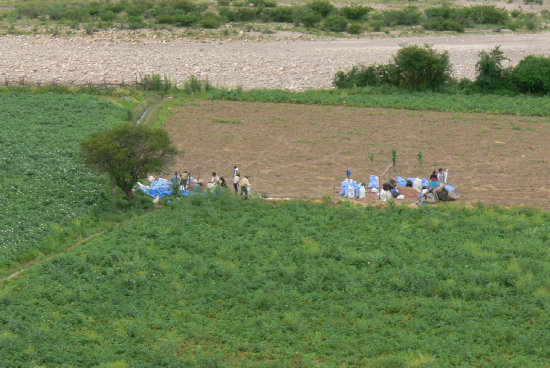 EMIGRACIN. Tambin incidi la emigracin por falta de tierras productivas, segn un estudio.