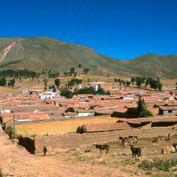 TARABUCO. La muerte de un adolescente sorprende a los pobladores; la Polica y la Fiscala indagan el hecho.