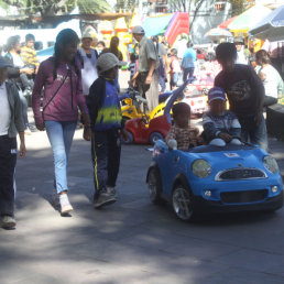 COLMADO. Cada domingo el parque Simn Bolvar queda sin espacio suficiente.