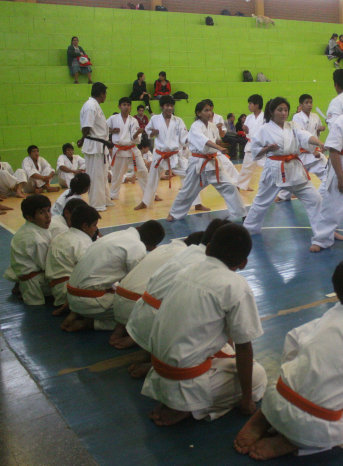 Los karatecas capitalinos rindieron un examen para ascender de grado, el sbado, en el coliseo Tito Alfred.