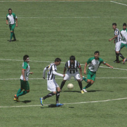 El torneo de la ACHF podra suspenderse hasta el prximo ao.