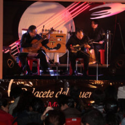 RECITAL. El grupo Sonata, durante su ltima presentacin en el Palacete de El Guereo.