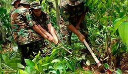 COCA. Informe revela que coca excedentaria fue incautada por la Fuerza de Tarea Conjunta.