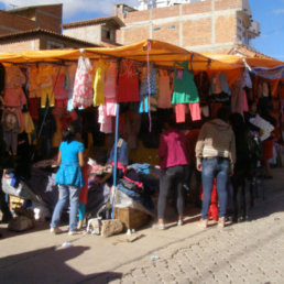 ALTERNATIVA: La Asociacin de Comerciantes Viajeros instal su feria en la avenida Gregorio Donoso, zona de Poconas.