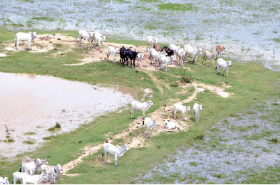 RIADAS. Una vista de la inundacin en San Ignacio de Moxos.