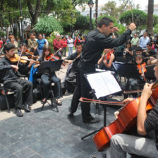 MSICOS. El elenco de la Orquesta Sinfnica de la Universidad durante uno de sus recitales.