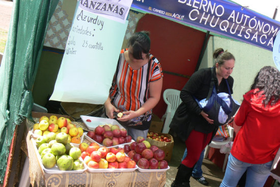 TRADICIN. La manzana es uno de los productos que caracteriza a Azurduy.