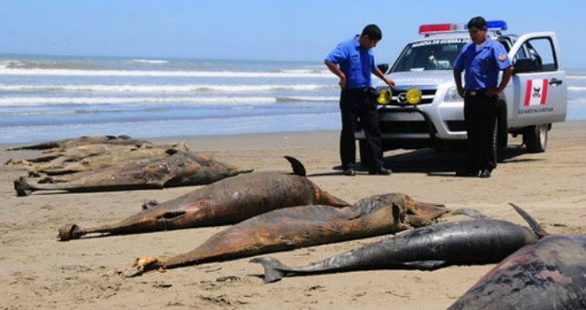 MISTERIO. Muerte en las playas.