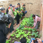 PRESENTACIN. Las familias productoras de hortalizas en carpas solares recibieron a las autoridades en el barrio Villa Tunari.