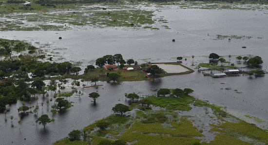 TIPNIS. Los efectos de las torrenciales y continuas lluvias ocasionaron las crecidas de los ros, inundando pueblos y comunidades.