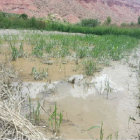 RIADA. El agua ingreso a un terreno.