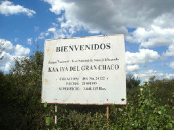 KAA IYA. rea protegida en el Chaco.