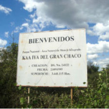 KAA IYA. rea protegida en el Chaco.