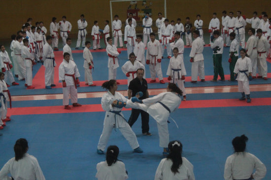 Ayer termin el curso precompetitivo en el coliseo JRA.