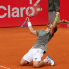 David Ferrer festeja el ttulo conseguido en el ATP de Buenos Aires.