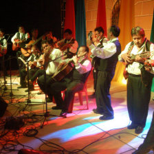 FIESTA. La estudiantina Tarco durante su presentacin anoche, en el Palacete de El Guereo.