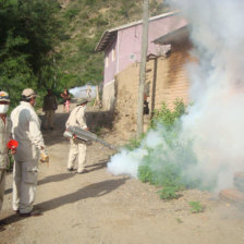 MEDIDAS. El SEDES contina con la fumigacin en las zonas de riesgo.