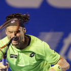 El espaol David Ferrer durante uno de sus ltimos partidos.