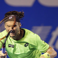 El espaol David Ferrer durante uno de sus ltimos partidos.