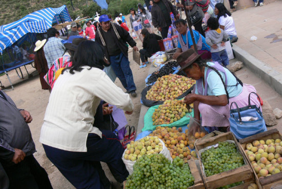 FERIA. El Mircoles de El Tejar se caracteriza por la variada oferta de productos de la temporada.