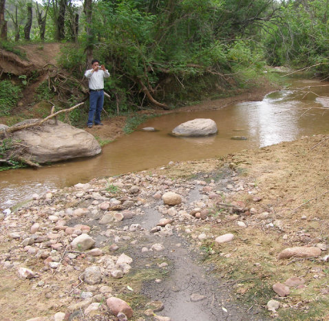 AFECTADOS. Municipios del Chaco.