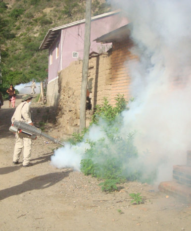 CONTROL. Continan las medidas para evitar la proliferacin del mosquito.