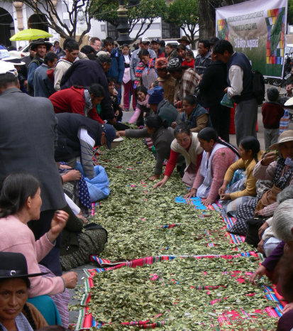 MEDIDA. La jornada de acullicu desarrollada ayer, en la plaza de Sucre.