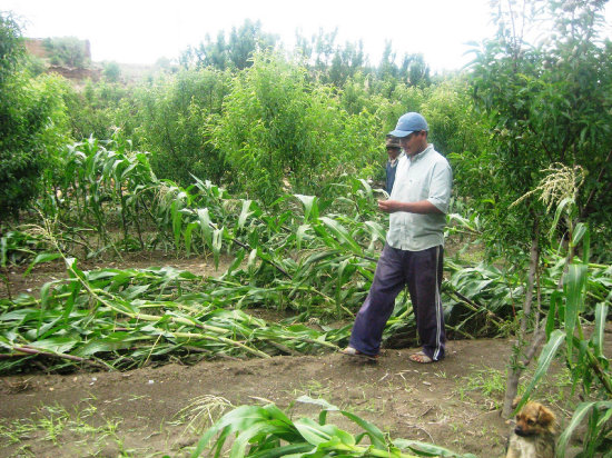 DAO. Ms de 11.000 hectreas de sembrados fueron daadas por el temporal en Chuquisaca.