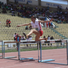 La capitalina Zelin Zurita fue una de las deportistas ms destacadas en los JUDEJUT 2013, al cosechar una medalla de oro y una de bronce.