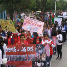 MANIFESTACIN. La marcha a favor de la vida y en contra del aborto realizada ayer en Sucre.