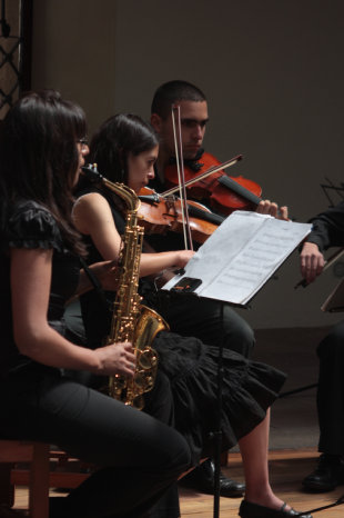 RECITAL. Msicos de la Orquesta de Cmara de San Francisco Xavier durante un concierto.