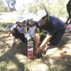 Campaa. La nia Milenka Serrudo plantando un rbol junto a su padre y una compaera.