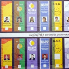 ELECCIONES. Este ao habr elecciones generales en el pas.