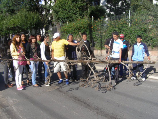 MOVILIZACIN. Los estudiantes continan con las medidas de presin.