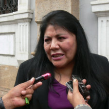 DENUNCIA. La diputada Norma Pirola anunci la convocatoria de Romero y Prez.