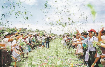 Sector. Productores de hoja de coca del pas.