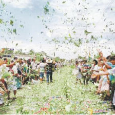 Sector. Productores de hoja de coca del pas.