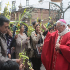 DOMINGO DE RAMOS. Antes de la eucarista, en el ingreso a la Catedral, el Arzobispo bendijo las palmas de decenas de fieles.