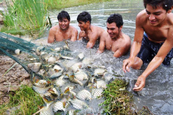 PISCIGRANJAS. Una imagen de la pesca por red que se realiz el fin de semana en la comunidad Chaco, distrito 7 de Sucre.