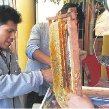 AVANCES. Los apicultores de Sucre mostraron sus productos en la feria de ayer.