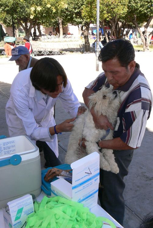 .       CAMPAA. Contra la rabia canina.