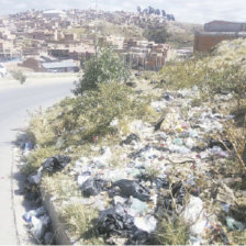 DESCUIDO. La basura esparcida en la avenida Circunvalacin, a la altura del surtidor Trbol, zona norte, no fue retirada en la campaa.