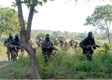 GUERRILLAS. Indgenas de 28 comunidades tuvieron que dejar sus tierras.