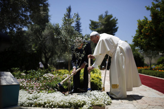 VISITA, Francisco y el presidente israel, Simn Peres (i), plantan un rbol en Jerusaln.