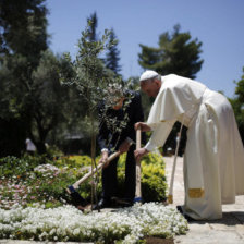 VISITA, Francisco y el presidente israel, Simn Peres (i), plantan un rbol en Jerusaln.