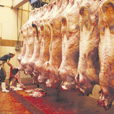 MATADERO. Coprocach abastece a los mercados de Sucre con carne de res de las regiones Centro y Chaco Chuquisaca.