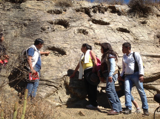 ESTUDIOS. La prospeccin de huellas de dinosaurio en el municipio de Sucre.