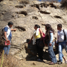 ESTUDIOS. La prospeccin de huellas de dinosaurio en el municipio de Sucre.