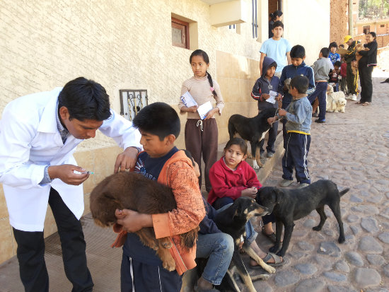 CAMPAA. Los nios fueron los ms preocupados por hacer vacunar a sus mascotas; los adultos casi brillaron por su ausencia.