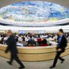 ELECCIN. Asamblea de la ONU.